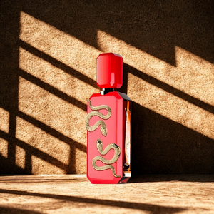 French Avenue Veneno Scarlet | French Avenue Veneno Scarlet | French Avenue Veneno Scarlet | French Avenue Veneno Scarlet | French Avenue Veneno Scarlet | French Avenue Veneno Scarlet