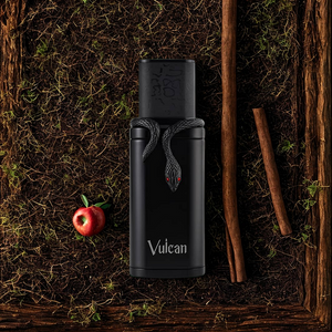 French Avenue Vulcan Black Friday
