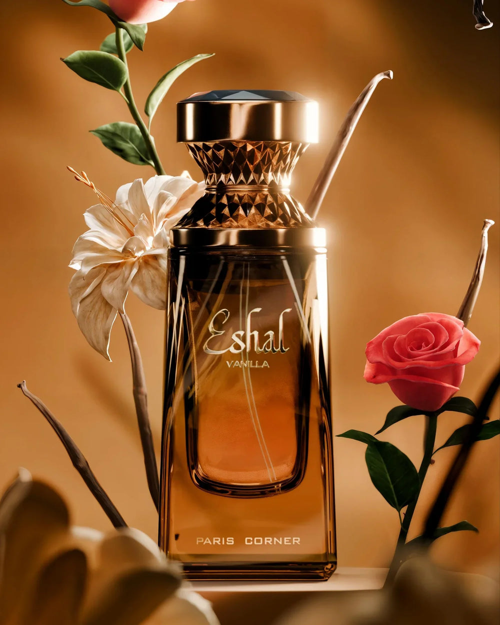 Paris Corner Eshal Vanilla Women | Paris Corner Eshal Vanilla Women